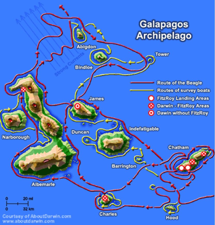 Darwin Galapagos