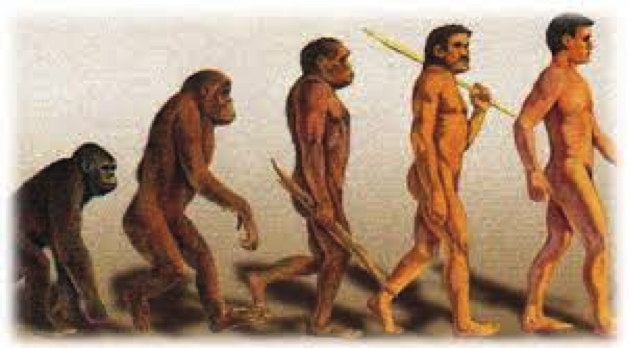 Darwin evolució
