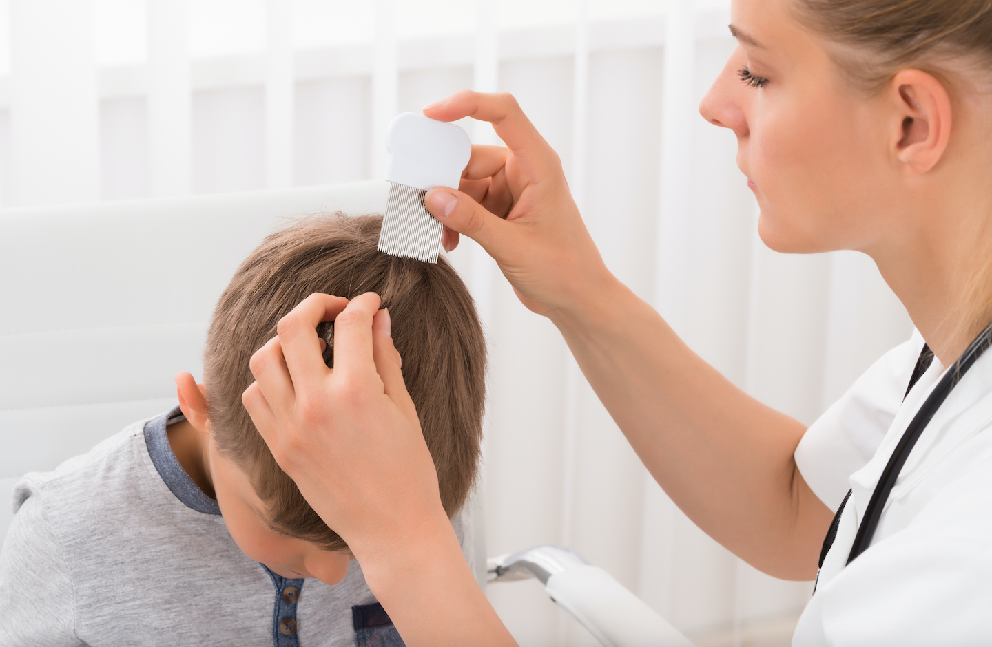 Peina con un peine llemenera para detectar y eliminar los huevos de los piojos JODO: Cedida